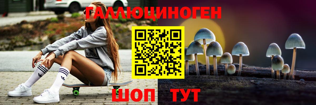 Галлюциногенные грибы Psilocybine cubensis  Вход с VPN  как найти наркотики  Майкоп 